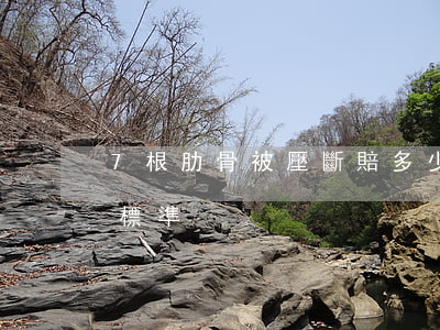 7根肋骨被壓斷賠多少錢(斷了兩根肋骨賠償標準)