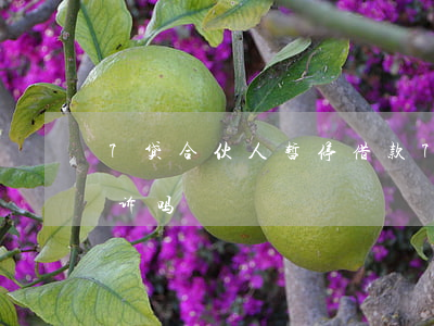 7贷合伙人暂停借款（7贷合伙人逾期会被起诉吗）