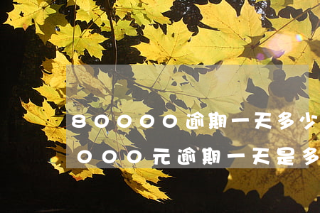 80000逾期一天多少錢(qián)(8000元逾期一天是多少)