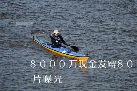 8000万现金发霉(8000万现金发霉照片曝光)