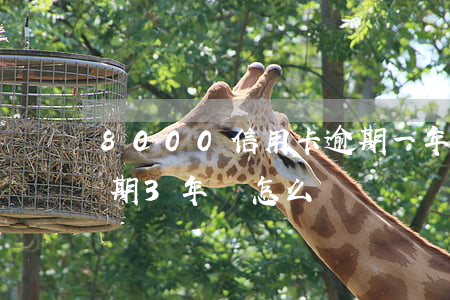 8000信用卡逾期一年(信用卡8000逾期3年會怎么樣)
