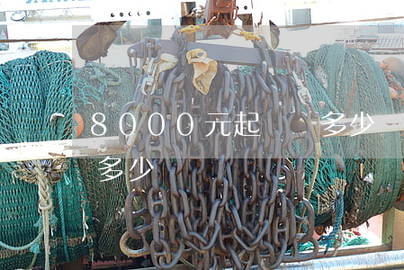 8000元起訴費多少錢(8000元起訴費多少錢)