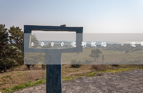 8000逾期被起訴-逾期2000塊會起訴嗎