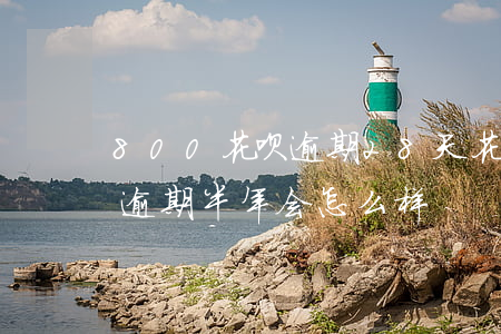 800花呗逾期28天(花呗欠了800块钱,逾期半年会怎么样?)