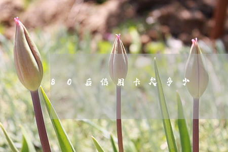 80后信用卡欠多少錢會被起訴-