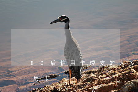 80后信用卡透支的人多嗎(多少80后欠信用卡)