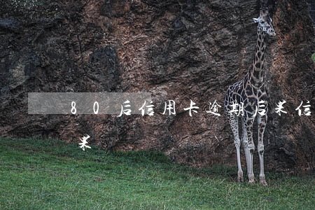 80后信用卡逾期后果(信用卡逾期90天后果)