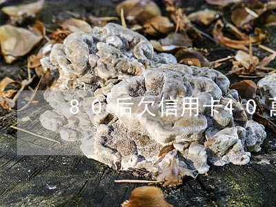 80后欠信用卡40萬怎么處理-