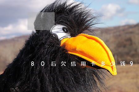 80后欠信用卡多少钱(90后信用卡欠款)