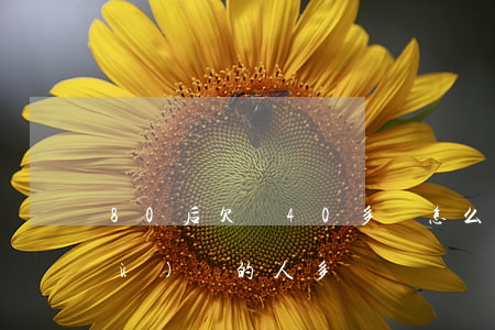 80后欠債40多萬怎么辦-80后負(fù)債的人多嗎