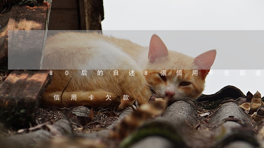 80后的自述8張信用卡全部逾期-80后信用卡欠款