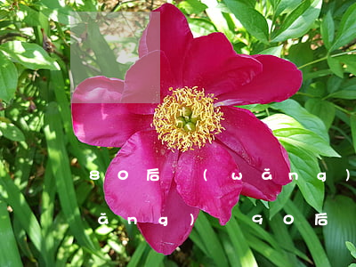 80后網(wǎng)貸都欠多少錢(網(wǎng)貸90后)
