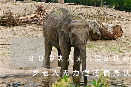 80岁老人无力偿还债务法院怎么判-80岁老人无力偿还债务法院怎么判决