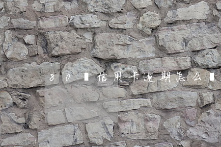 80萬信用卡逾期怎么辦(信用卡逾期20萬)
