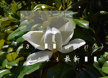 80萬經(jīng)濟糾紛律師費為多少2023最新標準