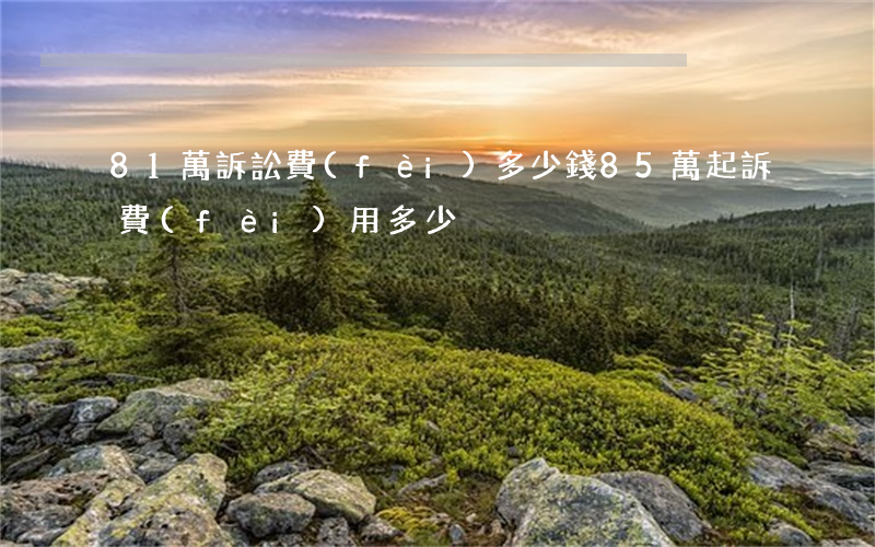 81萬訴訟費(fèi)多少錢(85萬起訴費(fèi)用多少)