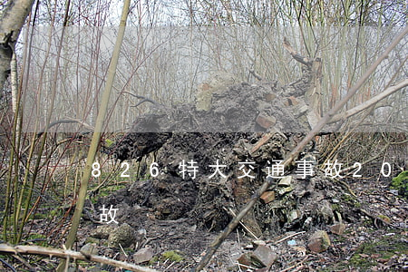8 26特大交通事故(2016年特大交通事故)