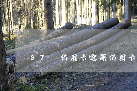 87萬信用卡逾期(信用卡80萬逾期還不起)