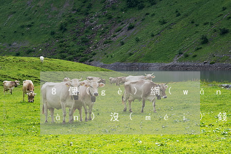 8個(gè)網(wǎng)貸欠9萬(wàn)沒(méi)錢還了怎么辦(欠了八萬(wàn)多網(wǎng)貸有什么辦法)