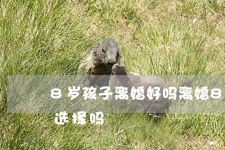8岁孩子离婚好吗(离婚8周岁的孩子能自己选择吗)