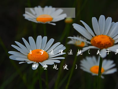 8岁法律法规(关于民法总则8周岁以上有哪些规定)