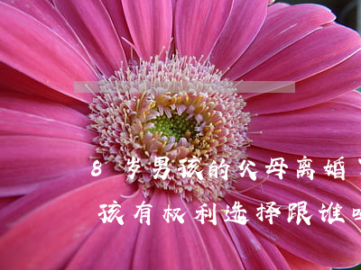 8岁男孩的父母离婚了跟谁(父母离婚8岁小孩有权利选择跟谁吗)