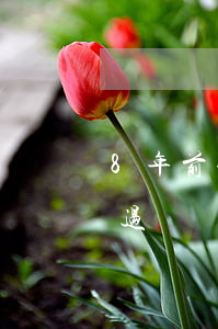 8年前信用卡逾期过五次（8年前信用卡逾期过）