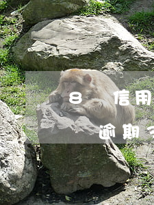 8張信用卡30萬逾期3年(8張信用卡30萬逾期3年)