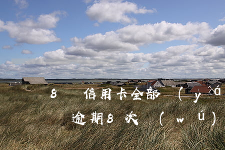 8張信用卡全部嚴(yán)重逾期了怎么辦（逾期8次無(wú)法辦理信用卡怎么辦）