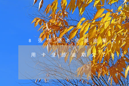 8張信用卡全部逾期欠了38萬元-8張信用卡全部逾期欠了38萬元怎么辦