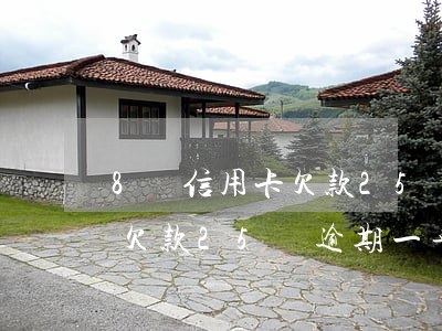 8張信用卡欠款25萬逾期一年 8張信用卡欠款25萬逾期一年