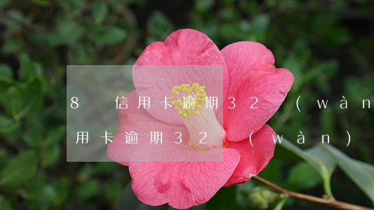 8張信用卡逾期32萬(wàn)-8張信用卡逾期32萬(wàn)