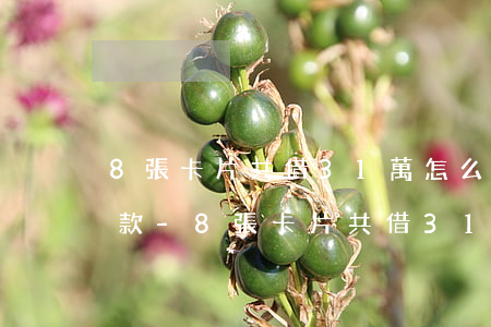 8張卡片共借31萬怎么協(xié)商還款-8張卡片共借31萬怎么協(xié)商還款呢