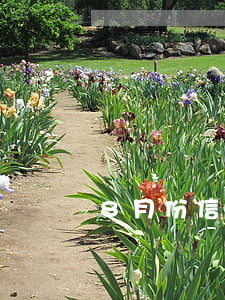8月份信用卡逾期記錄圖片(信用卡8月到期)