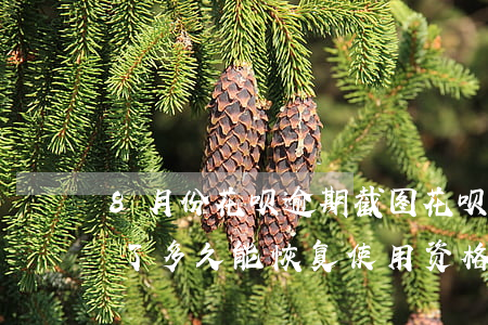 8月份花呗逾期截图(花呗逾期8个月后还清了多久能恢复使用资格)