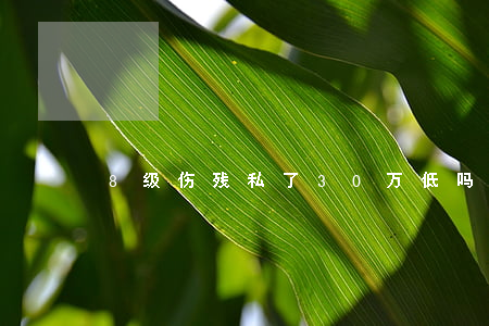 8级伤残私了30万低吗