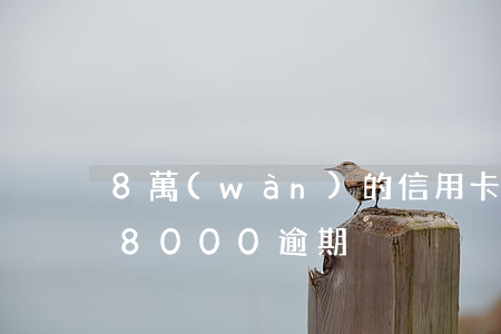 8萬(wàn)的信用卡逾期4天-信用卡8000逾期