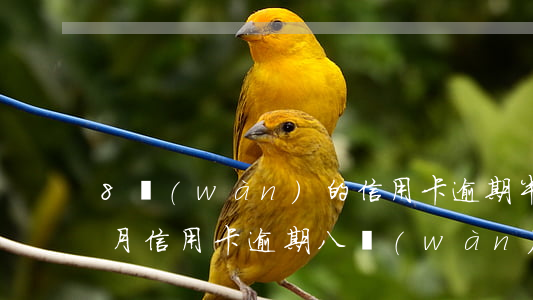 8萬(wàn)的信用卡逾期半個(gè)月(信用卡逾期八萬(wàn)多,現(xiàn)在還不上怎么辦)
