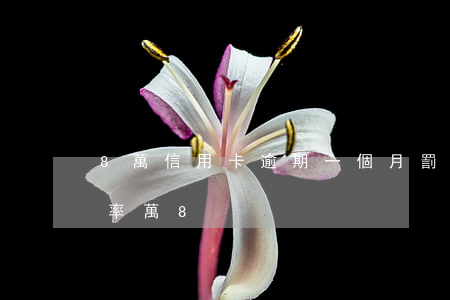 8萬信用卡逾期一個月罰息（信用卡逾期日利率萬8）