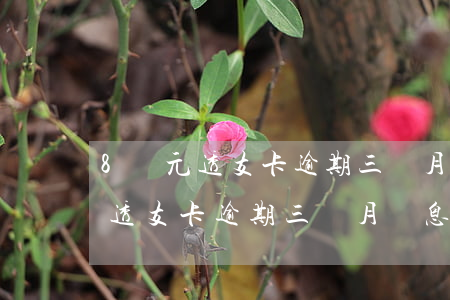 8萬元透支卡逾期三個月罰息多少-8萬元透支卡逾期三個月罰息多少錢