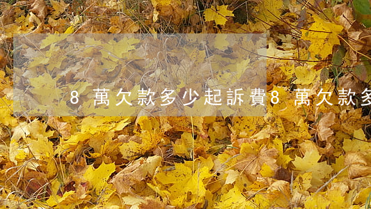 8萬欠款多少起訴費(8萬欠款多少起訴費)