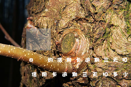 8萬的信用卡逾期三天扣多少利息-8萬的信用卡逾期三天扣多少利息呢