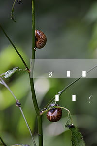 8萬網(wǎng)貸加信用卡逾期了怎么辦(網(wǎng)貸加信用卡欠款80萬)