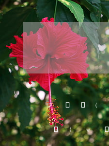 8萬網(wǎng)貸還不起怎么辦(欠8萬網(wǎng)貸還不起了怎么辦)
