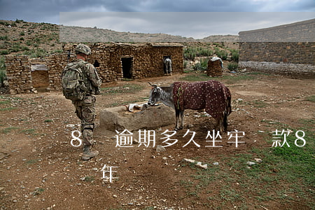 8萬逾期多久坐牢(貸款8萬逾期不還會判刑幾年)