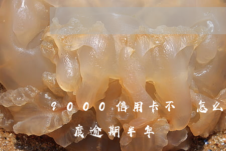 9000信用卡不還怎么辦(信用卡9000額度逾期半年)