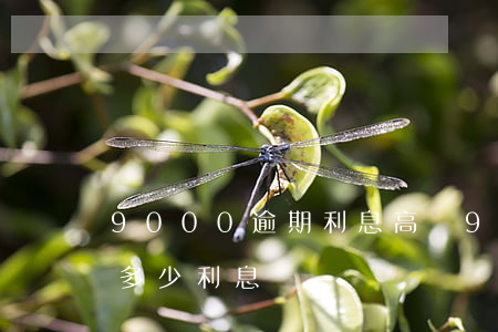 9000逾期利息高嗎(9000逾期一個月多少利息)
