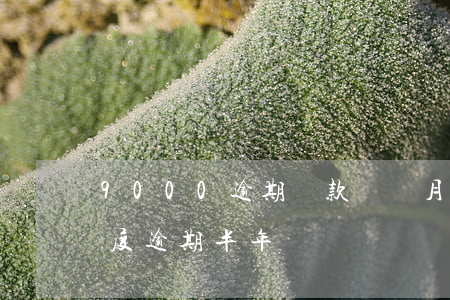 9000逾期還款兩個月(信用卡9000額度逾期半年)