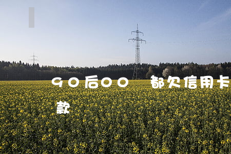 90后00夠都欠信用卡嗎 90后信用卡欠款