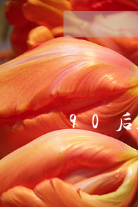 90后人均欠12萬網(wǎng)貸(欠十幾萬網(wǎng)貸)